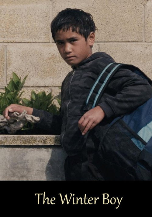 Movie poster for The Winter Boy (2010)