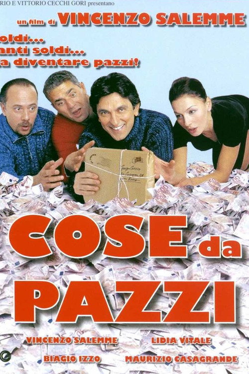 Movie poster for Cose da pazzi (2005)