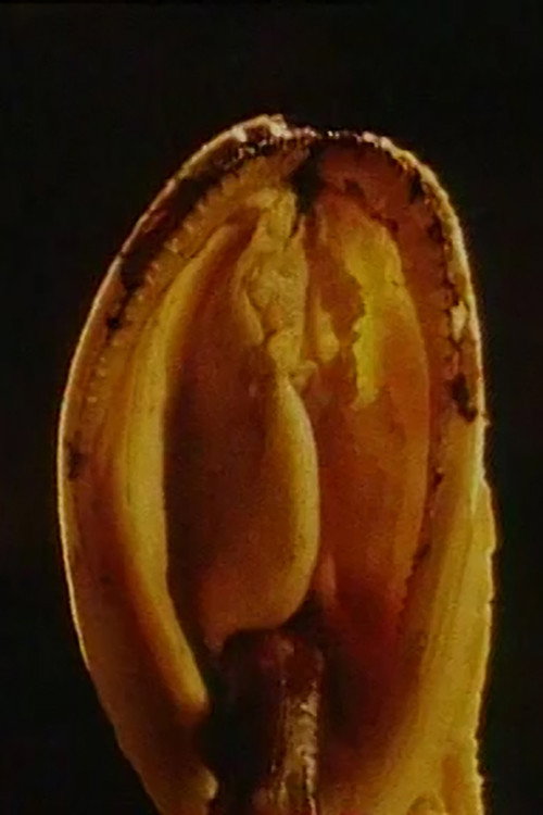 Movie poster for Blue Movie (1996)
