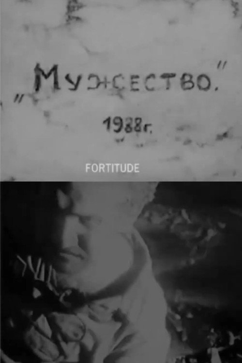 Movie poster for Fortitude (1988)
