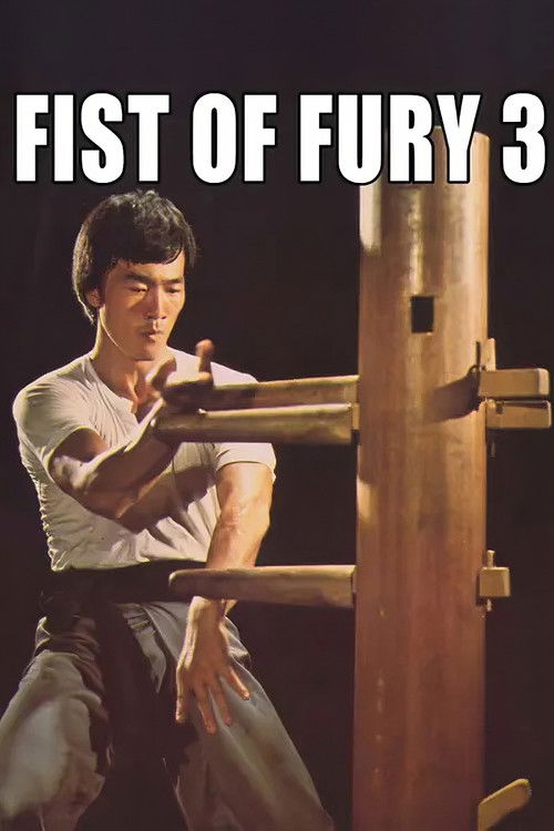 Movie poster for Fist of Fury 3 (1979)