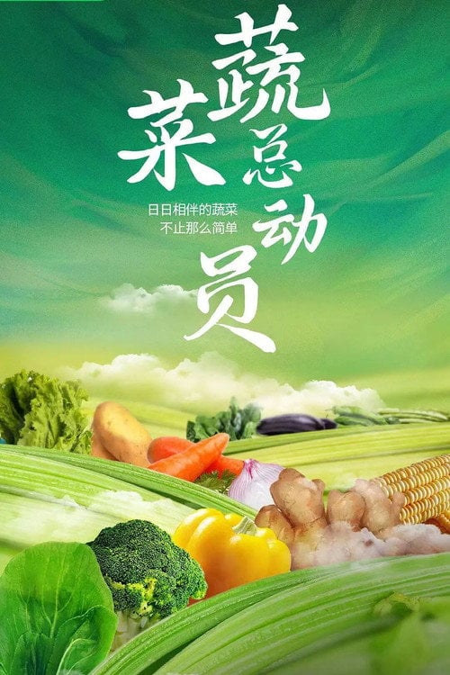 Series poster for 蔬菜总动员 (2024)
