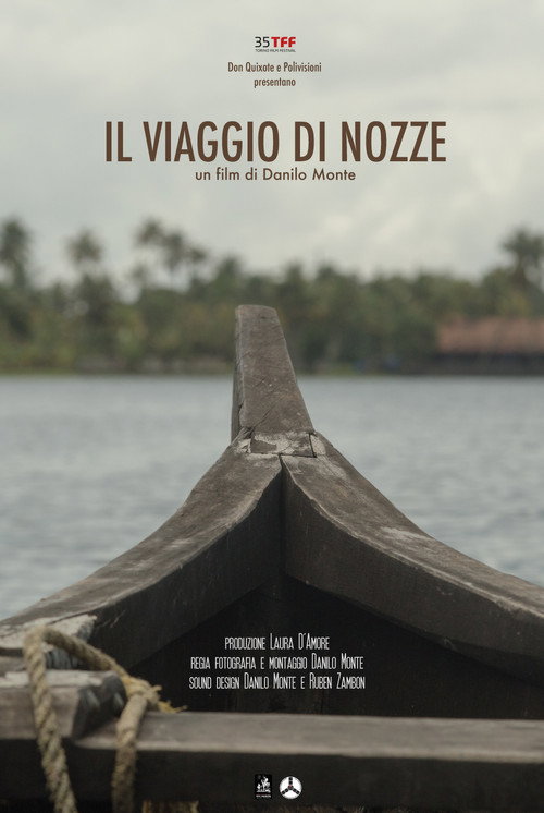 Movie poster for Il viaggio di nozze (2017)