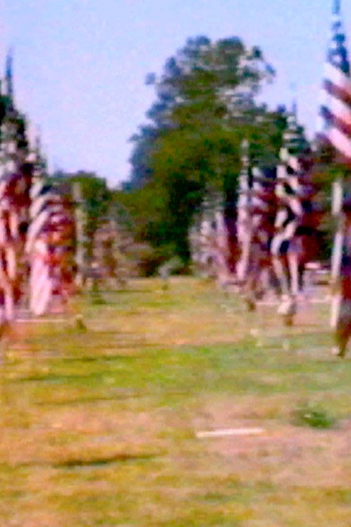 Movie poster for Towards Intuition: An American Landscape (1981)