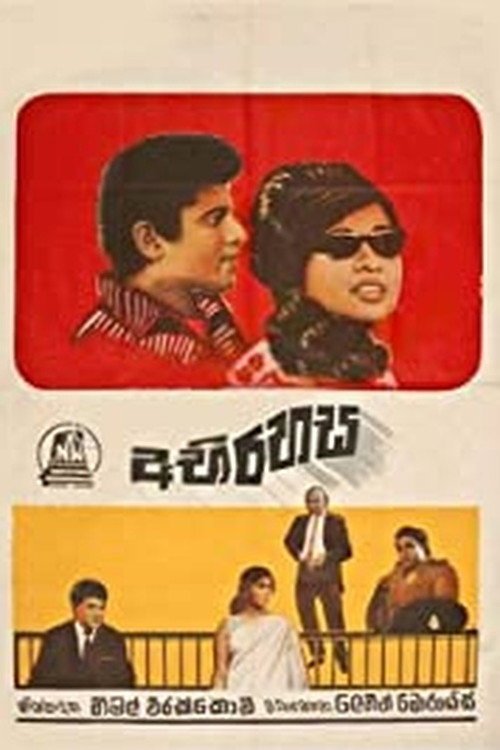 Movie poster for The Secret (1971)