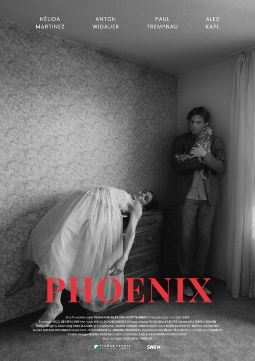 Movie poster for Phönix