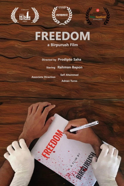 Movie poster for Freedom (2022)