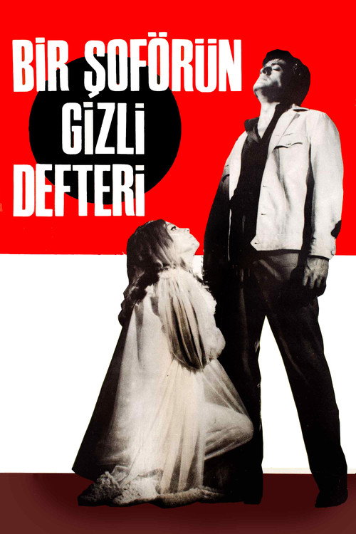 Movie poster for Bir Şoförün Gizli Defteri (1967)