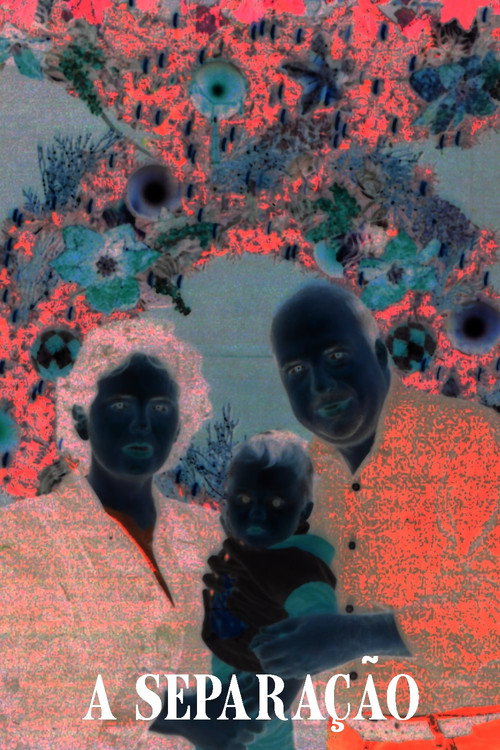 Movie poster for The Separation (2024)