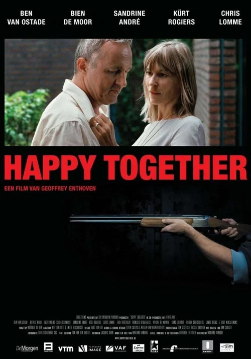 Movie poster for Happy Together (2008)