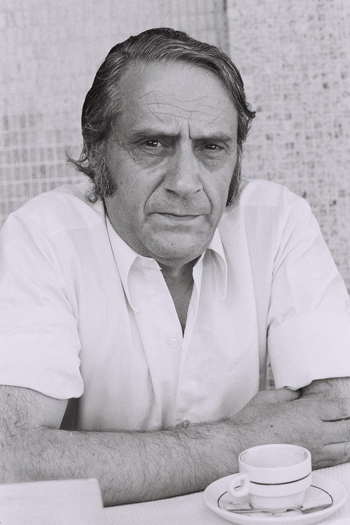 Movie poster for Prefácio a Vergílio Ferreira (1975)