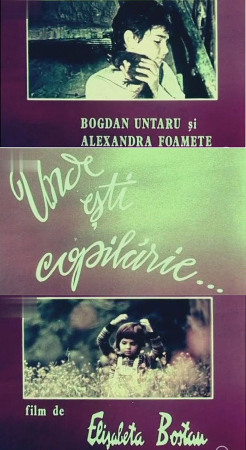Movie poster for Unde ești, copilărie... (1988)