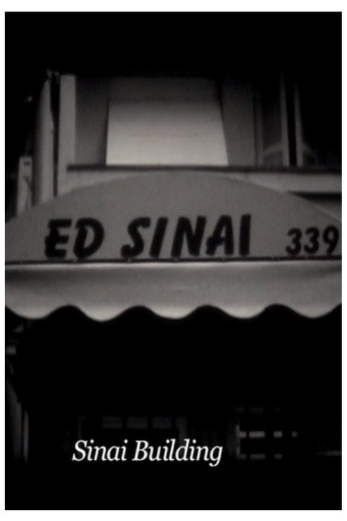 Movie poster for Edifício Sinai (2008)