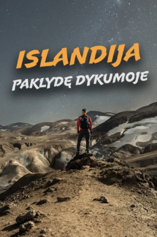 Movie poster for Iceland: Lost in the Desert (2024)