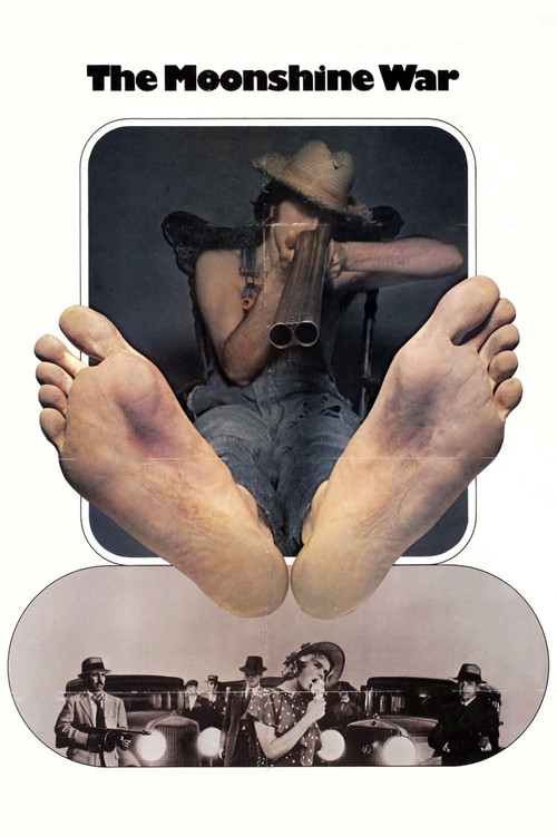 Movie poster for The Moonshine War (1970)