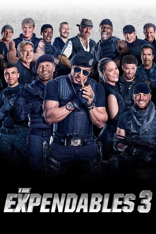 Movie poster for The Expendables 3 (2014)