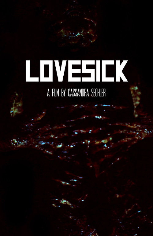 Movie poster for Lovesick (2018)