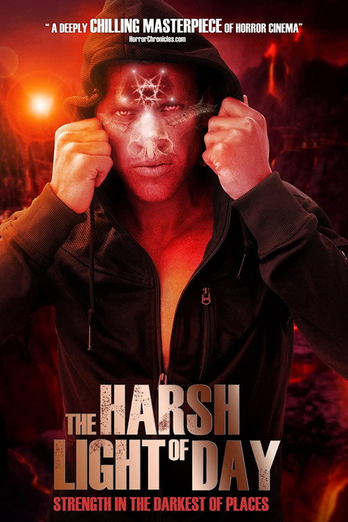 Movie poster for The Harsh Light of Day (2012)