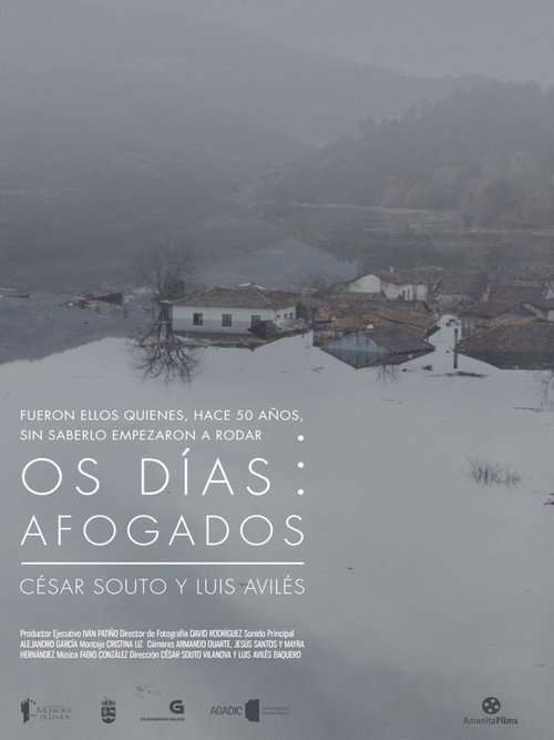 Movie poster for Os Días Afogados (2015)
