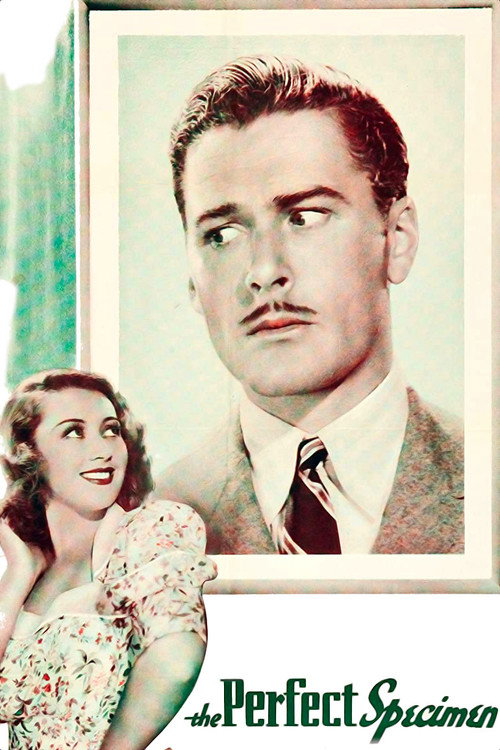 Movie poster for The Perfect Specimen (1937)