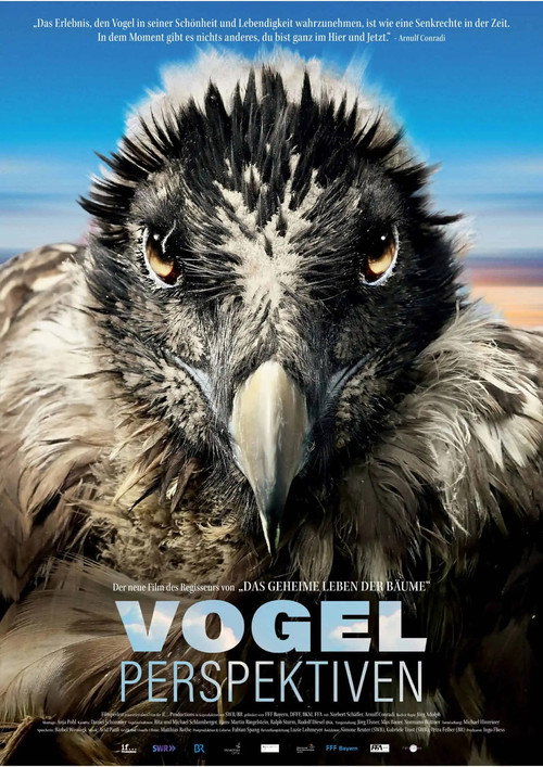 Movie poster for Bird's Eyeview (2022)