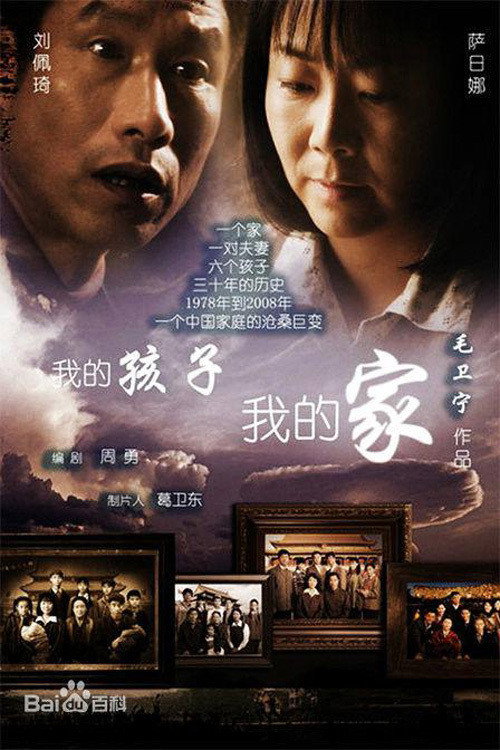 Series poster for 我的孩子我的家 (2010)