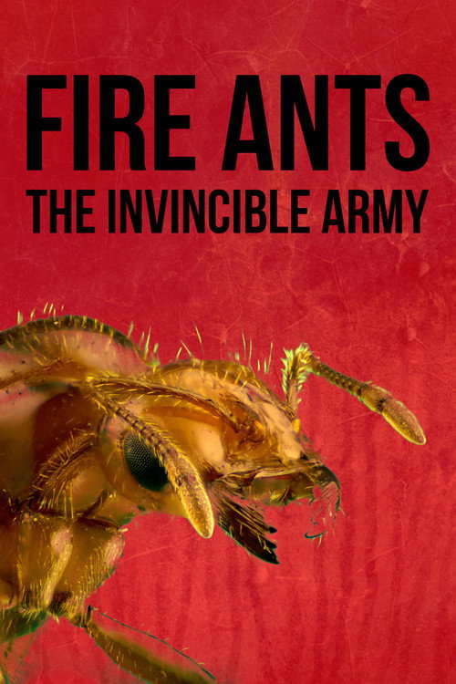 Movie poster for Fire Ants 3D: The Invincible Army (2012)