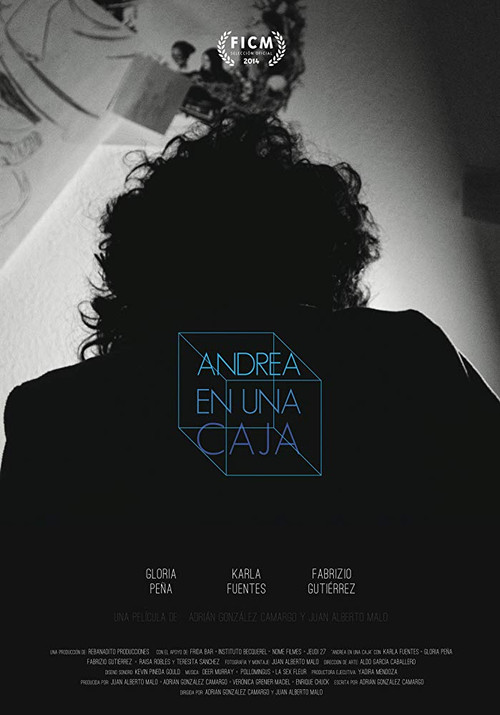 Movie poster for Andrea en una caja (2014)