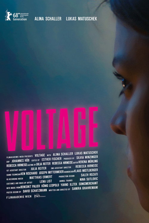 Movie poster for Voltage (2018)