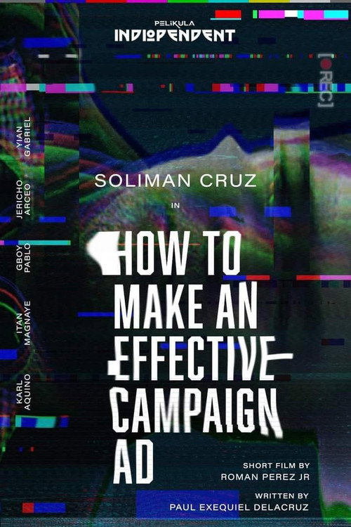 Movie poster for How to Make an Effective Campaign Ad (2022)