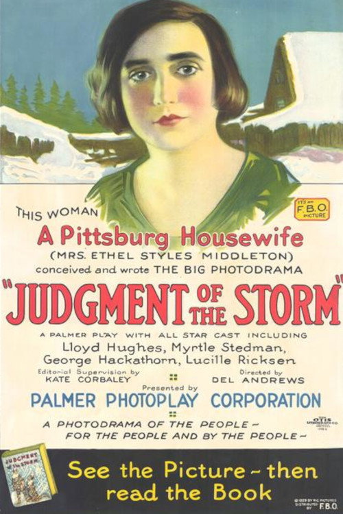 Movie poster for Judgment of the Storm (1924)