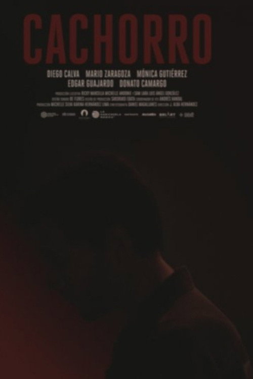 Movie poster for Cachorro (2020)