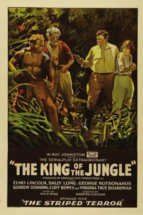 Movie poster for The King of the Jungle (1927)