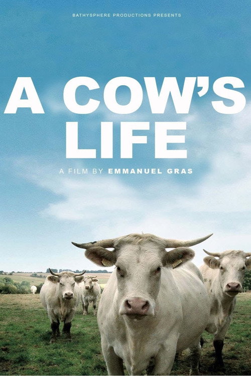 Movie poster for Bovines (2012)