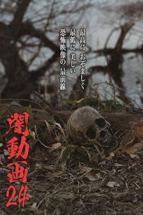 Movie poster for Tokyo Videos of Horror 24 (2020)