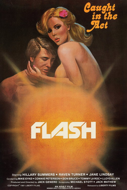 Movie poster for Flash (1981)