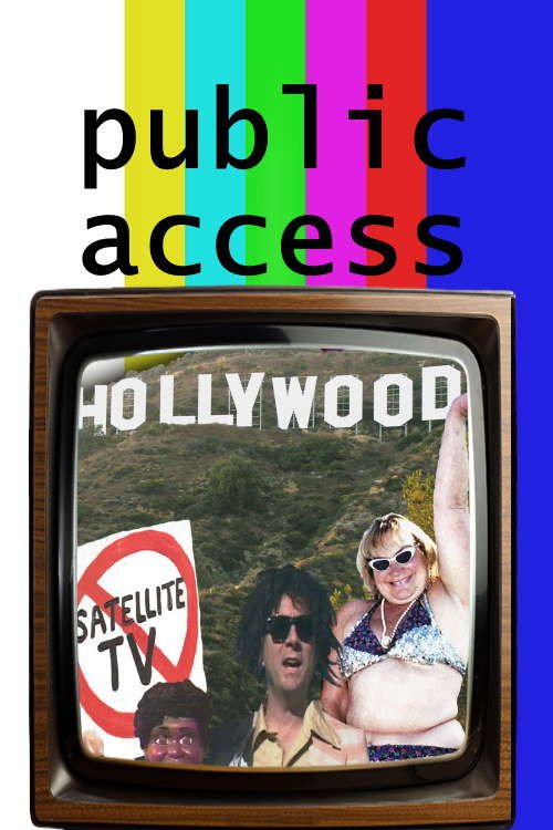 Movie poster for Public Access Hollywood (2004)