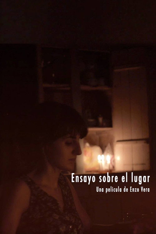 Movie poster for Ensayo Sobre El Lugar (2014)