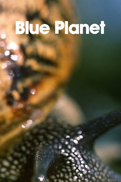 Movie poster for The Blue Planet (1982)