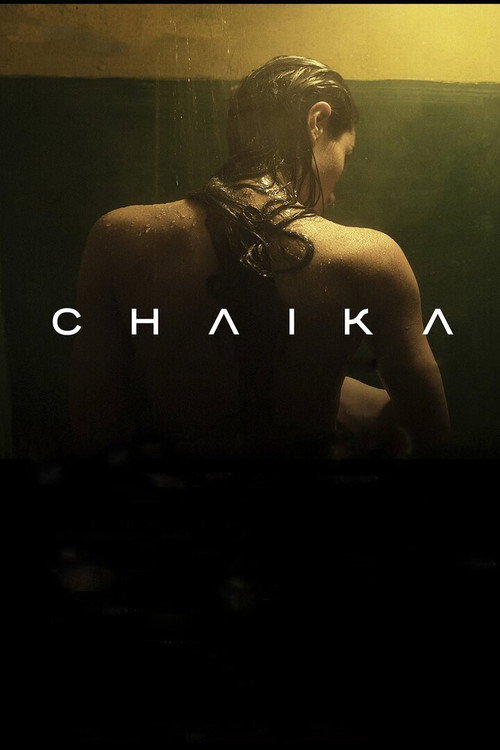 Movie poster for Chaika (2012)