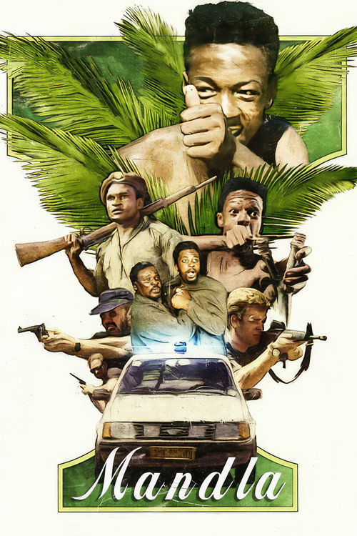 Movie poster for Mandla (1980)