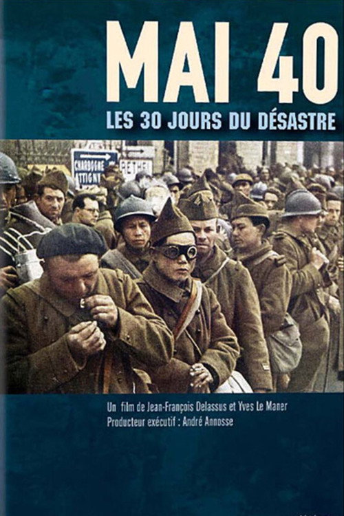 Movie poster for Mai 40, les 30 jours du désastre (2002)