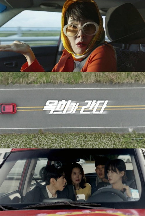Movie poster for Extreme Family (2025)