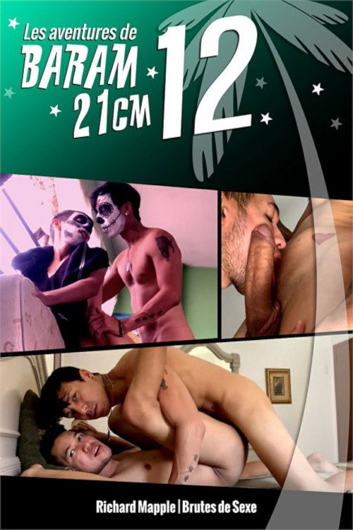 Movie poster for Les Aventures de Baram 21CM 12 (2023)
