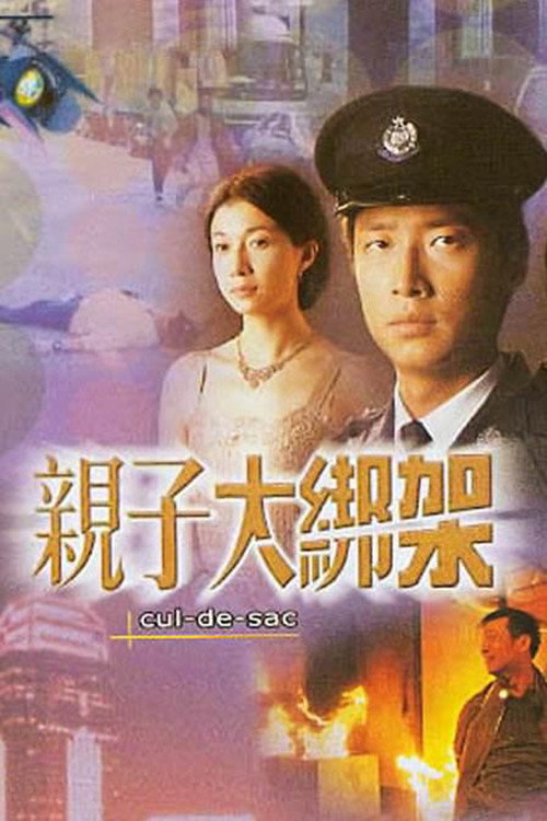 Movie poster for 親子大綁架 (2003)