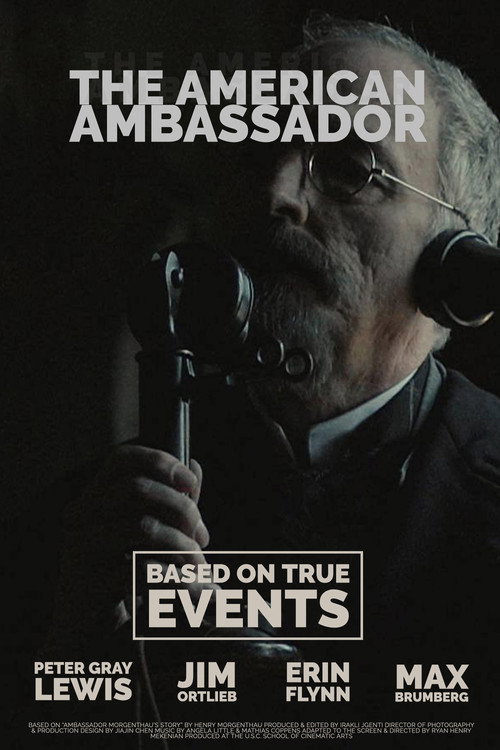 Movie poster for The American Ambassador (2019)