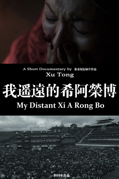 Movie poster for My Distant Xi A Rong Bo (2016)