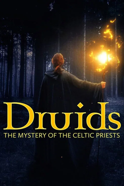 Movie poster for Druids: The Mystery of Celtic Priests (2021)
