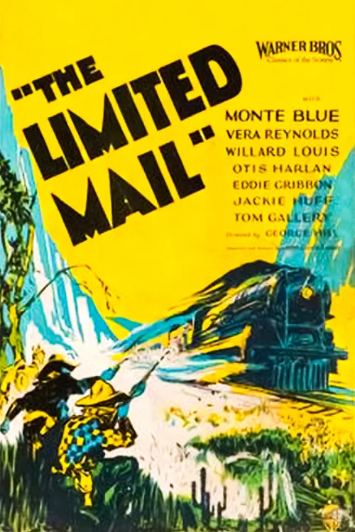 Movie poster for The Limited Mail (1925)
