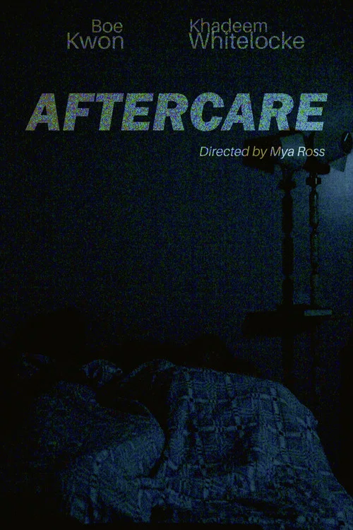 Movie poster for Aftercare